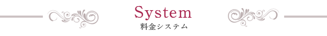 「System Title」